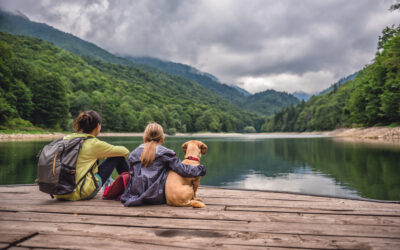 ¡Lanzamos una encuesta pionera para conectar mejor con los viajeros y sus mascotas! Participa y ayuda a moldear el futuro del turismo de las familias con mascota